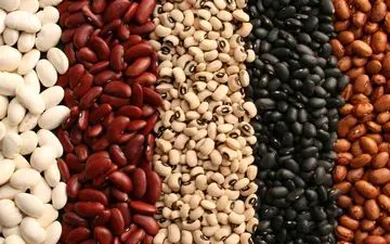 با طبع لوبیا در طب سنتی آشنا شوید| خانوما باید بدونن!