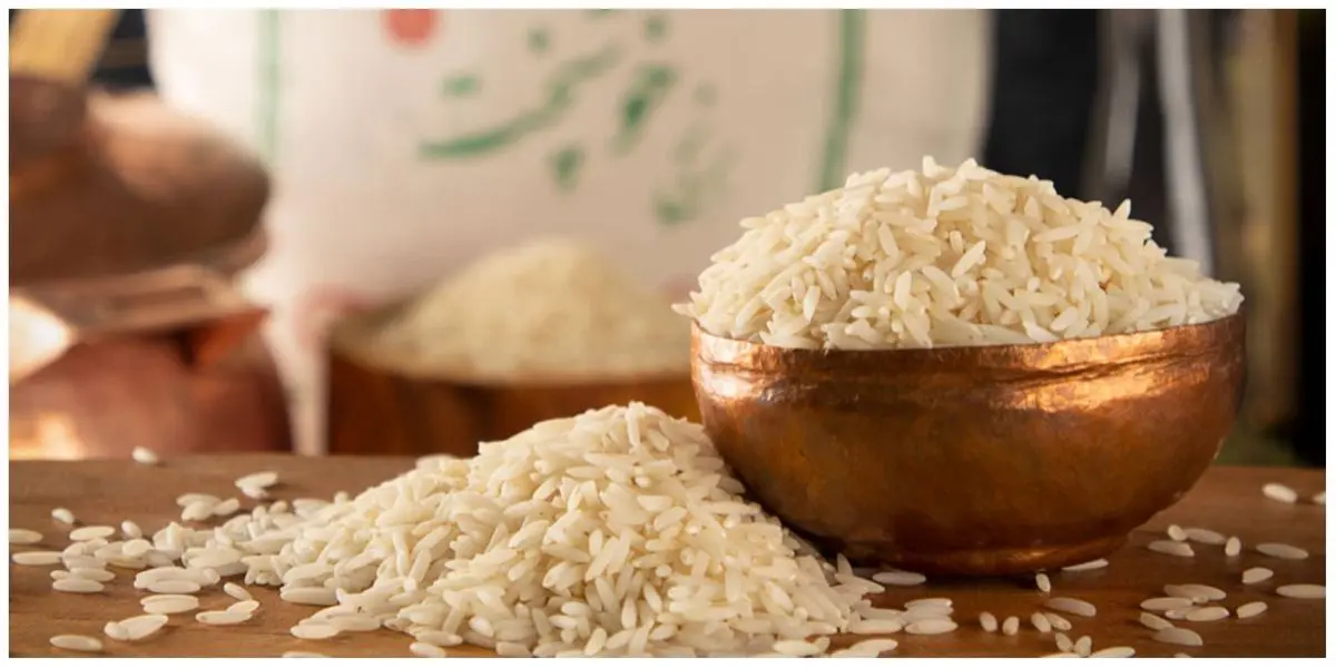 قیمت روز برنج ایرانی ۲۵ شهریور ۱۴۰۴؛ طارم، هاشمی و نیم‌دانه