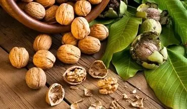 کاهش چشمگیر خطر ابتلا به آلزایمر با مصرف منظم گردو