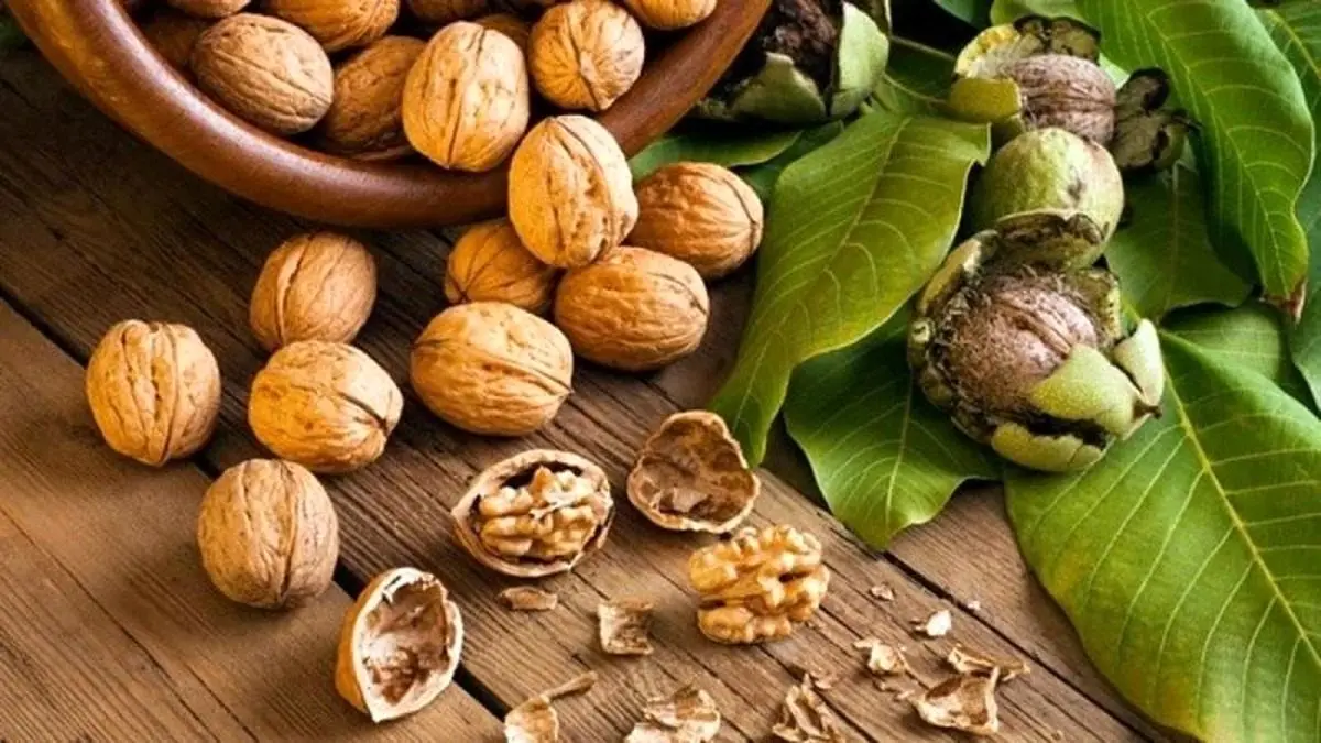 کاهش چشمگیر خطر ابتلا به آلزایمر با مصرف منظم گردو