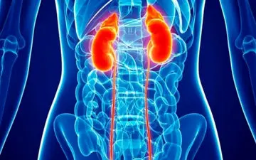 درد در کلیه‌ها به علت تولید گاز یا نفخ