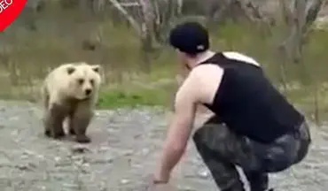 اقدام عجیب یک توریست در محدوده نگهداری خرس‌ها!
