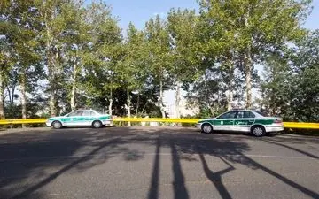 کشف جسد مرموز در زباله‌های نعمت‌آباد؛ راز جنایت فاش شد