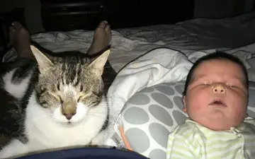 تولد سنگین‌وزن‌ترین نوزاد جهان / این دختر از نوزاد اسب آبی هم بزرگتر است!