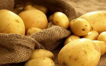 گرانی بی‌ضابطه در بازار تهران/ کفش و پوشاک در نوروز ۱۴۰۳ قربانی گرانفروشی شد