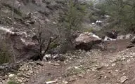 فیلم/ سقوط سنگ در سوادکوه در اولین روز از عید نوروز +جزییات