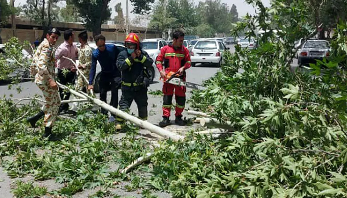 
جزئیات مرگ یک شیرازی به خاطر باد شدید