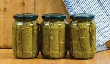 کنسرو برگ مو | طرز تهیه شو اینجا ببین!

