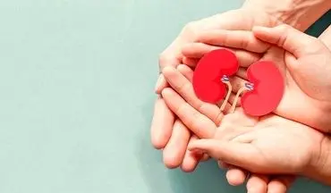 خداحافظی با سنگ کلیه در تابستان با مصرف این میوه‌های خوشمزه