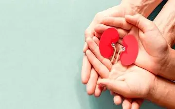 خداحافظی با سنگ کلیه در تابستان با مصرف این میوه‌های خوشمزه