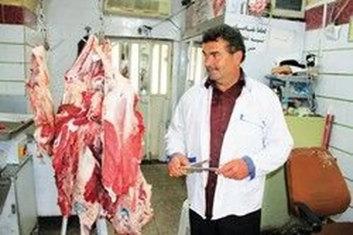 هشدار درباره صادرات دام زنده از کشور/احتمال گران شدن دوباره گوشت