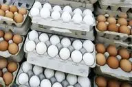  قیمت تخم مرغ در فروشگاه‌های زنجیره‌ای / کاهش قیمت به دنبال کاهش خرید مردم 
