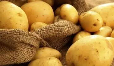 اتحادیه بارفروشان خواستار توقف صادرات سیب زمینی شد
