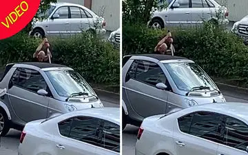 حمله مرگبار مرد جوان به هم‌اتاقی سابقش با شمشیر سامورایی!