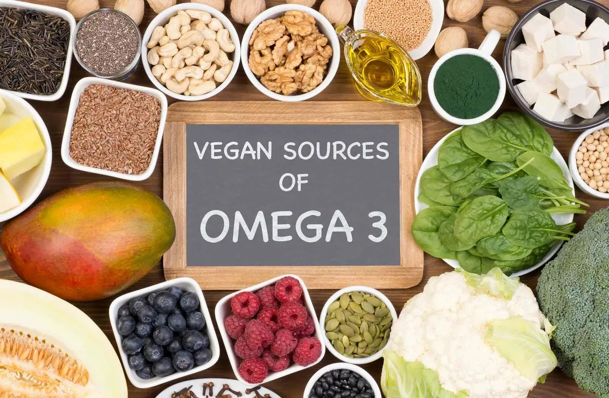 منابع غذایی سرشار از امگا3 کدامند؟