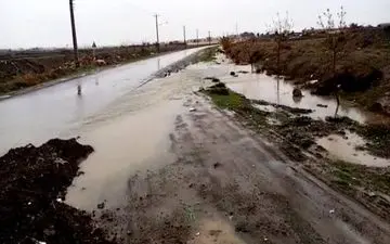 تخریب 263 مدرسه در پی سیل در استان کرمان