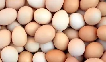 به این دلیل هفته ای یکبار تخم مرغ بخورید