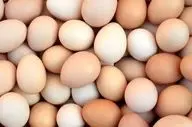 به این دلیل هفته ای یکبار تخم مرغ بخورید