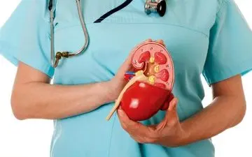 برای سم‌زدایی مثانه این خوراکی‌ها مصرف کنید