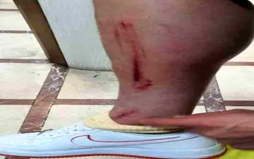 آقا کمال چنین تکلی را جلو چشم داماد می زنند؟!