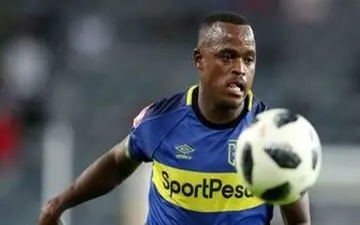  خارجی‌های پردردسر استقلال