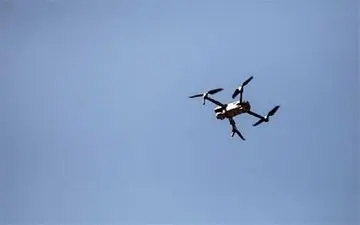 انهدام ریزپرنده‌های مهاجم در رشت