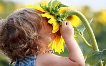 آیا می‌دانید بو چه تاثیری روی مغز انسان دارد؟