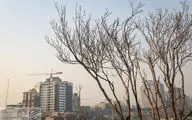 راهکار شهردار تهران برای خانه دار شدن مستاجران