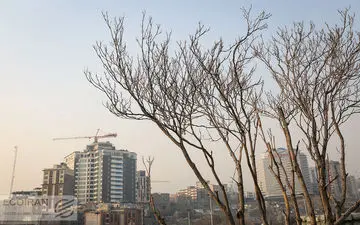 راهکار شهردار تهران برای خانه دار شدن مستاجران