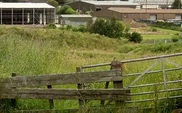 صدای عجیبی که مردم یک روستا را آزار می‌دهد ! / فرار از خانه های پر صدای جیغ !
