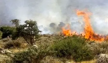 آتش‌سوزی در منطقه حفاظت‌شده هلن دوباره شعله‌ور شد