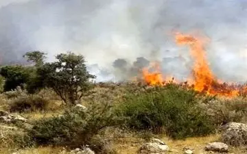 آتش‌سوزی در منطقه حفاظت‌شده هلن دوباره شعله‌ور شد
