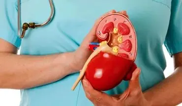 درباره بیماری های کلیوی بیشتر بدانیم