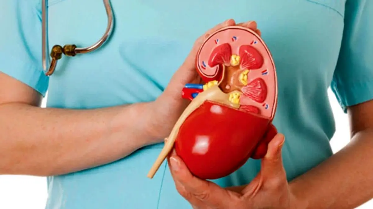 درباره بیماری های کلیوی بیشتر بدانیم