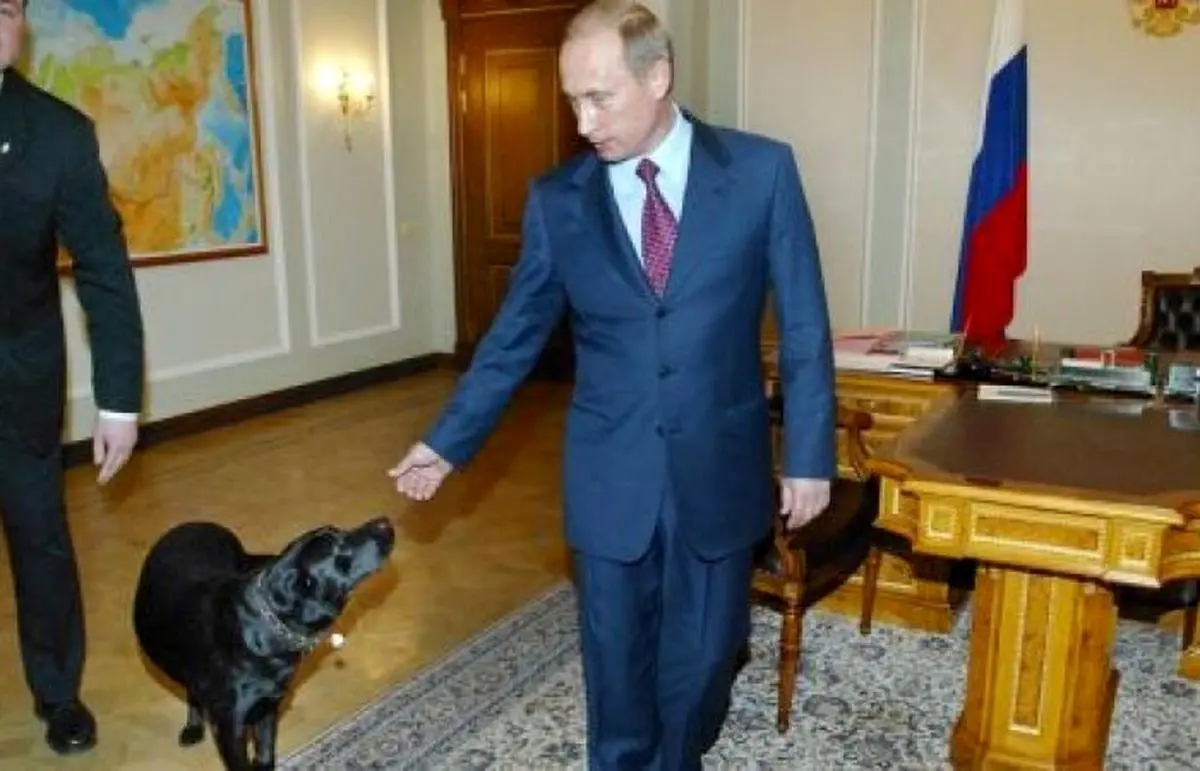 سگ پوتین استثنایی و خاص ترین سگ جهان + عکس و ویژگی های باورنکردنی