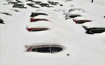 ویدیو| فرار هیجان انگیز از دو مرد قبل از دفن شدن زیر برف