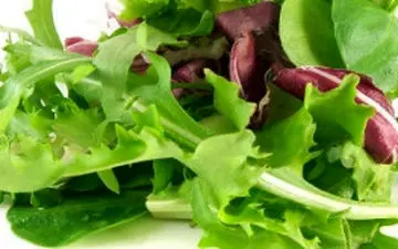 جوانی مغز با مصرف روزانه سالاد