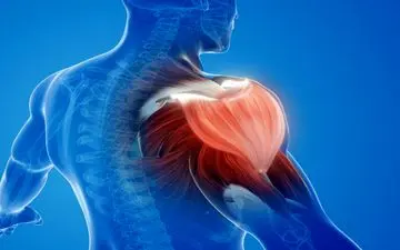 داروی لاغری جدید به حفظ و رشد ماهیچه‌ها کمک می‌کند