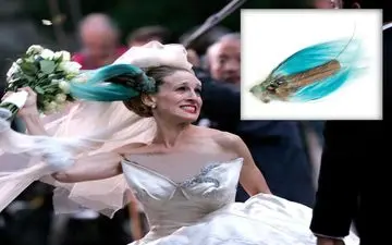 پیشنهاد ۱۰۰ هزار دلاری شاهزاده خانم سعودی برای خرید «کلاه پرنده» بازیگر هالیوودی
