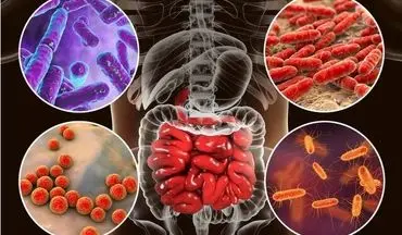 چند عامل موثر بر سلامت روده