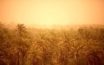 ابداع روشی نوین برای مهار ریزگردها