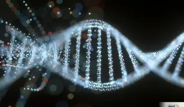 تحولی عظیم در ذخیره سازی اطلاعات روی مولکول‌های DNA
