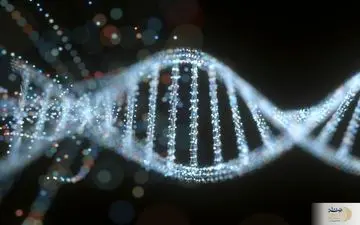 تحولی عظیم در ذخیره سازی اطلاعات روی مولکول‌های DNA
