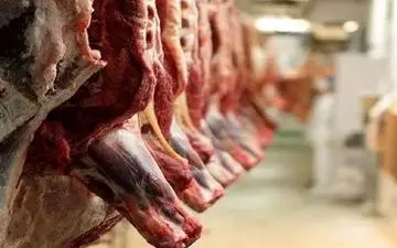 ۵ قصابی متخلف در زاهدان پلمپ شدند