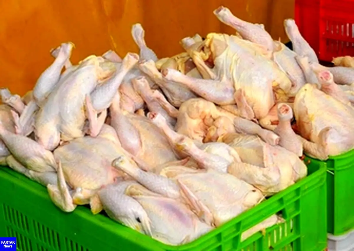 قیمت مرغ از 11 هزار تومان گذشت