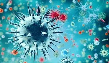 شناسایی اولین مورد ابتلا به زیرسویه جدید آنفلوآنزای خوکی در این کشور