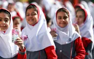 بازنگری دستورالعمل برنامه ملی شیر مدرسه