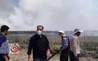 آتش سوزی در تالاب هشیلان+فیلم و عکس