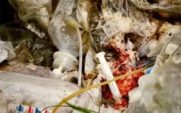  کشف یک فاجعه در حوالی تهران+فیلم