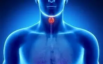 ۱۰علامت کمبود یُد در بدن